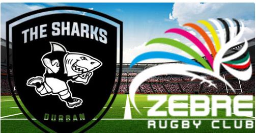 Sharks vs Zebre - Full Match Replay - United Rugby Championship - 16 May 2026
